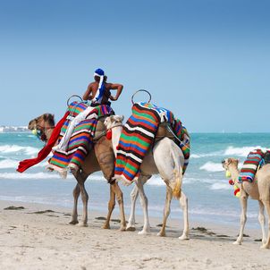 Djerba Tunesien Ferien buchen